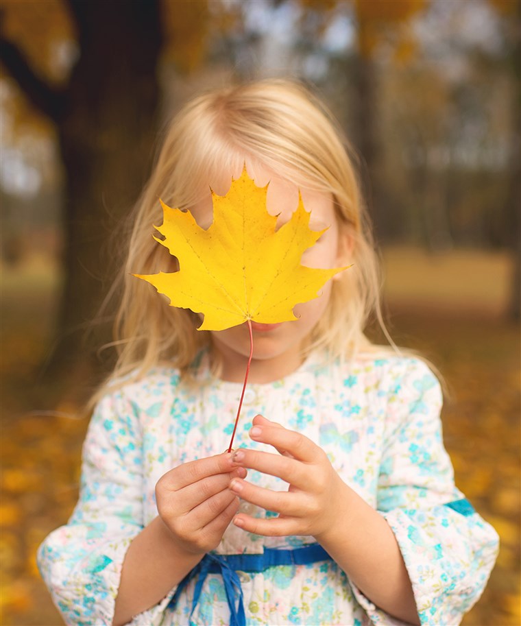 허용 your child to find the biggest leaf she can, then hide her face behind it is one of Wilkerson's suggestions for interesting leaf pile photos.