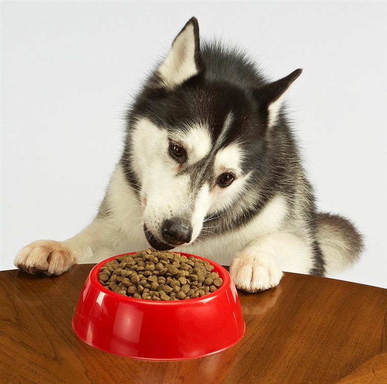Yum! Nothing tastes better than American-made dog food.