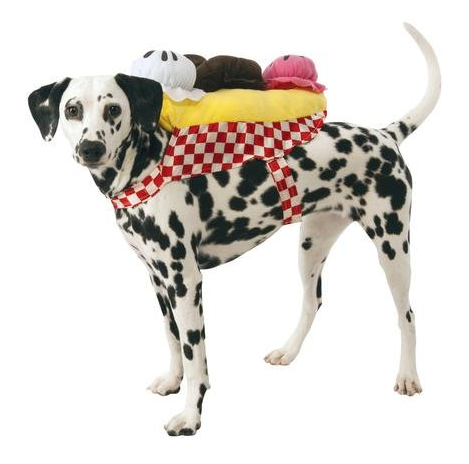 얼음 cream dog Halloween costume