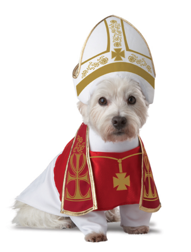 로마 교황 dog Halloween costume