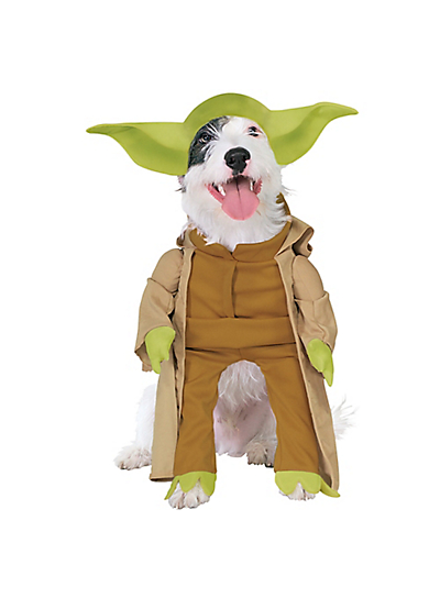요다 dog Halloween costume