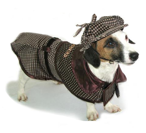 셜록 Holmes dog Halloween costume