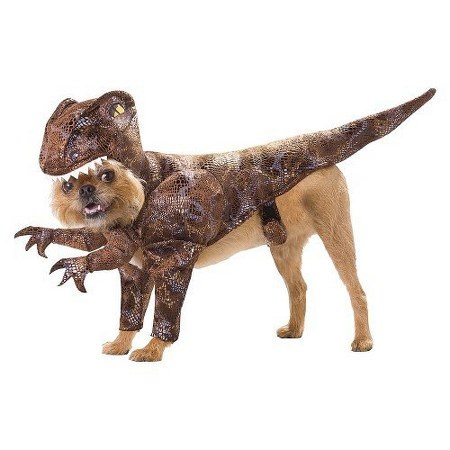 공룡 dog Halloween costume
