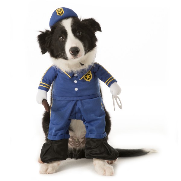 경관 dog Halloween costume
