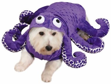 문어 dog Halloween costume