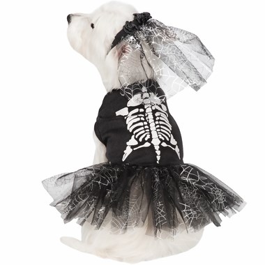 해골 dog Halloween costume