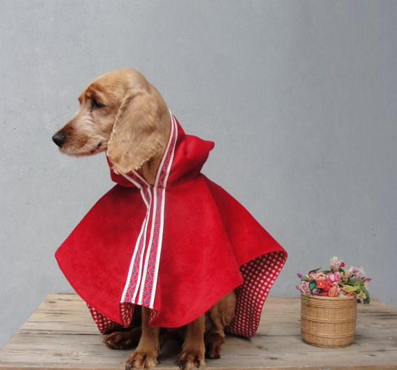 작은 Red Riding Hood dog Halloween costume