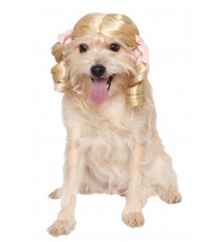 금발 wig dog Halloween costume