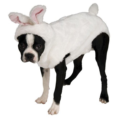 토끼 dog Halloween costume