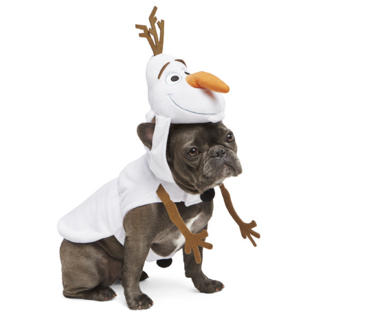 올라프 dog Halloween costume