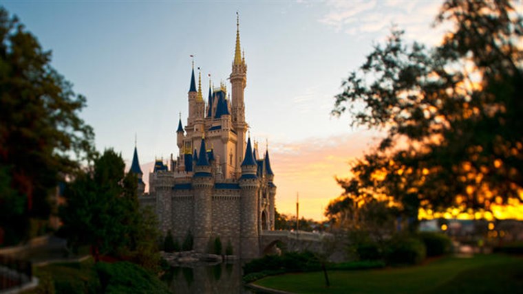 마법 Kingdom: Disney World