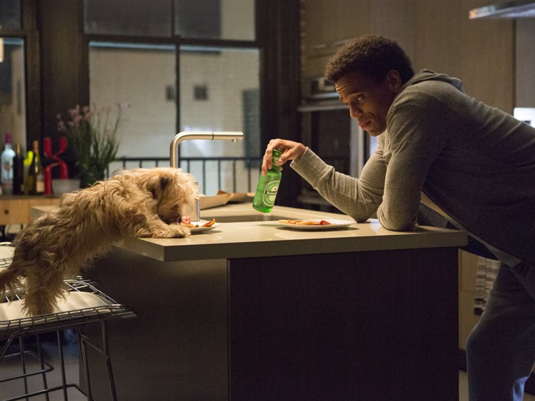 Danny (Michael Ealy) shares his lonely dinner with his dog Pacino in 