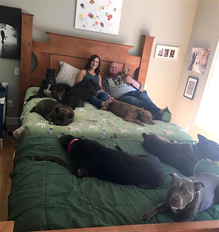 두 who built a giant bed so they could sleep with their many dogs.
