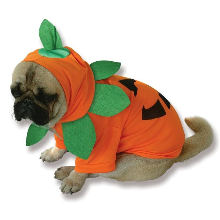 Labu Dog Costume