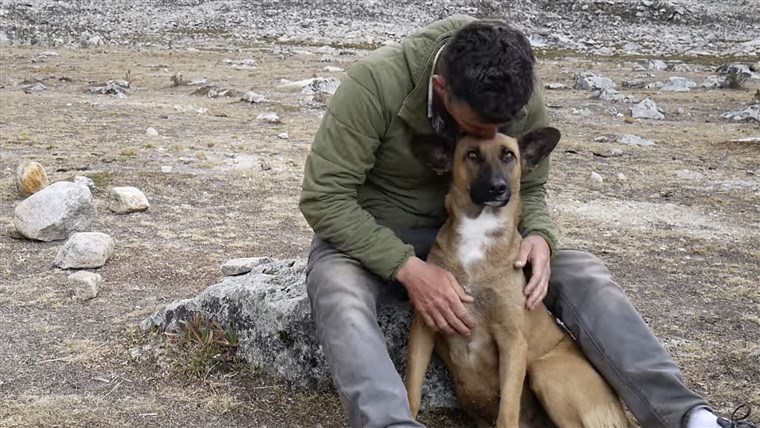 スティーブ - O rescues street dog in Peru