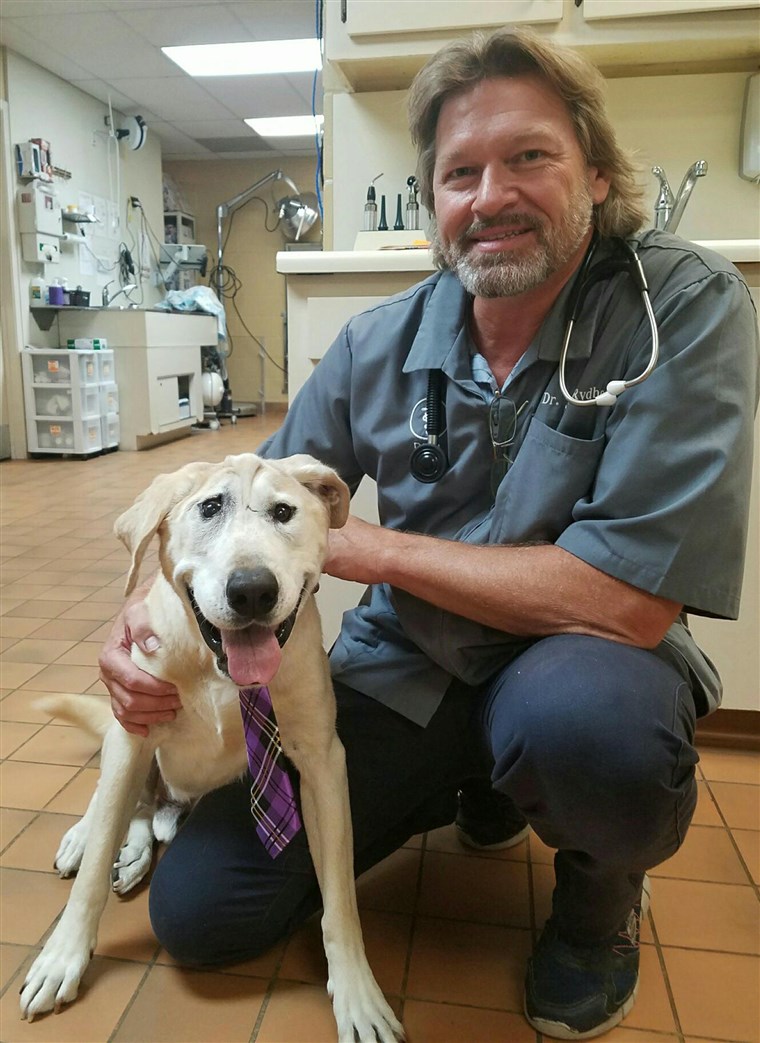 犬 with facial deformity is rescued