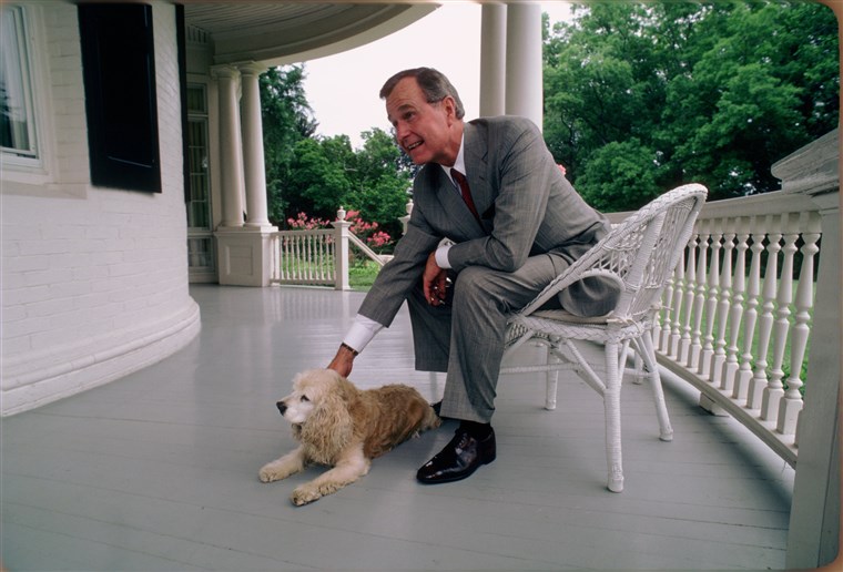 Gambar: Vice President George H.W. Bush with His Dog at the Vice President's Residence