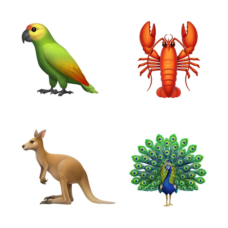 앵무새, lobsters, kangaroos and peacocks are coming soon. 