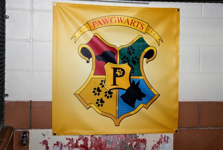 Piace Hogwarts, Pawgwarts is divided into four houses: Slytherin, Hufflepuff, Ravenclaw and Gryffindor.