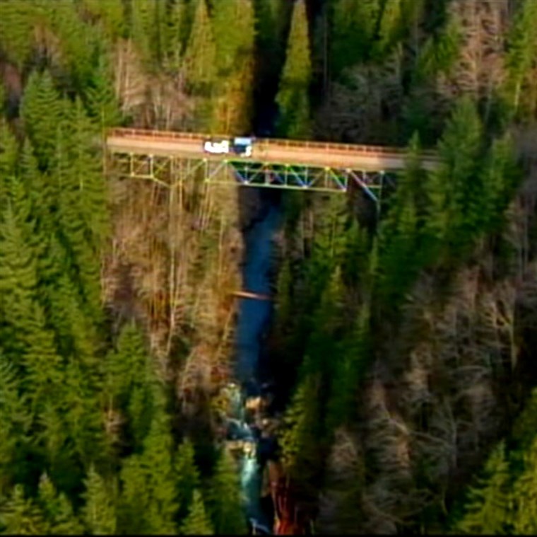 Immagine: bungee jumping bridge