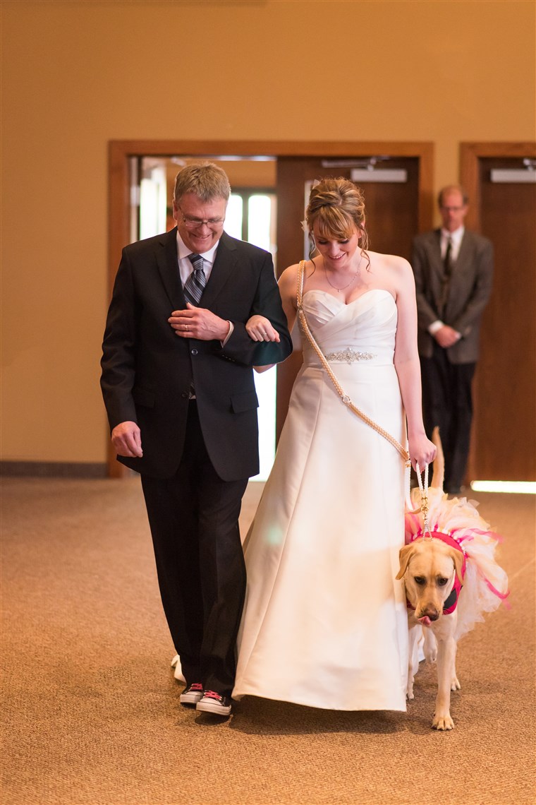 Excl : Service dog Bella calms down bride on wedding day