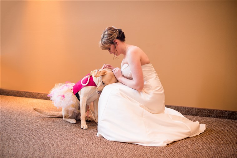 escl: Service dog Bella calms down bride on wedding day