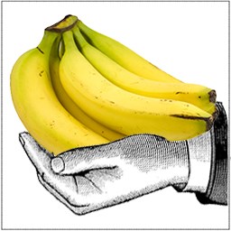 상인 Joe's Bananas