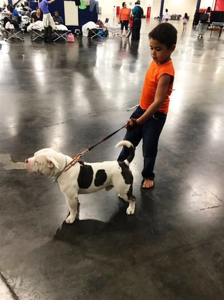 A boy and his dog at the George R. Brown Convention Center in Houston.
