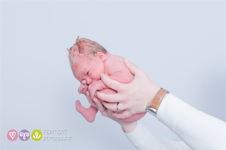 얻다 Fermont photographs newborns curled up the way they were in the womb.