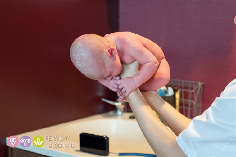 얻다 Fermont photographs newborns curled up the way they were in the womb.