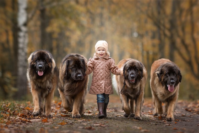 작은 Kids and Their Big Dogs