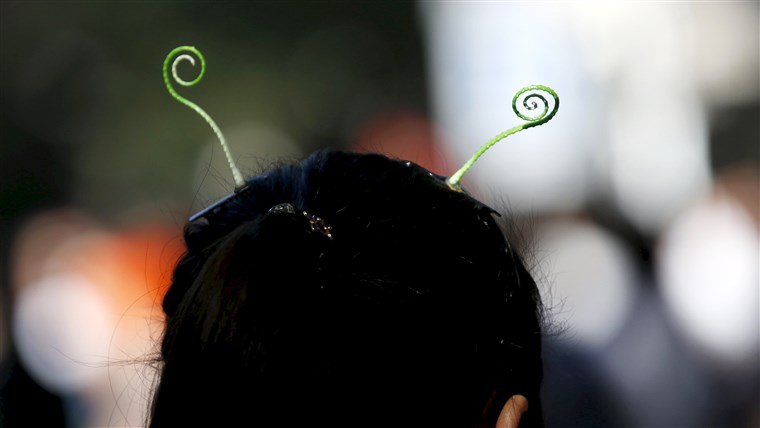 UN woman wearing sprout-like hairpins in Beijing