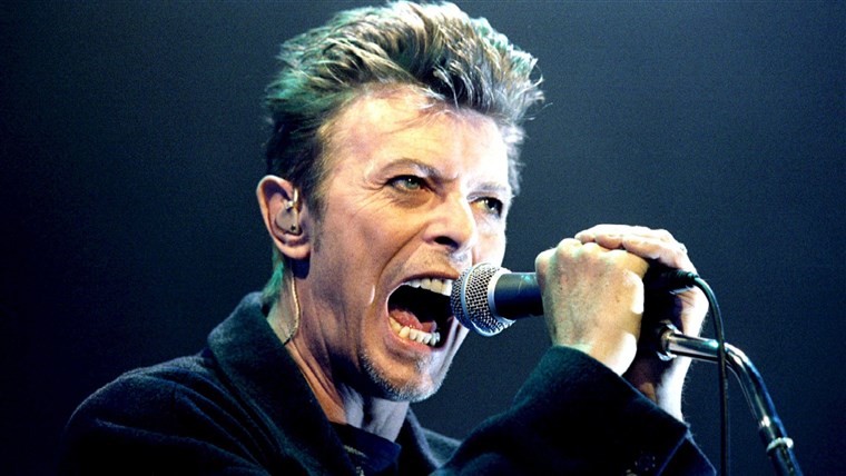데이비드 Bowie performing during a concert in Vienna