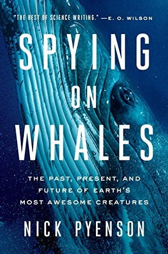 간첩 on Whales