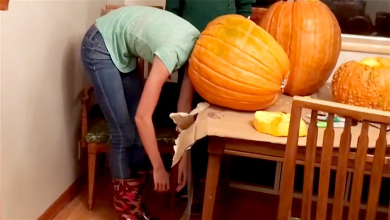 여자 Gets Head Stuck In Pumpkin