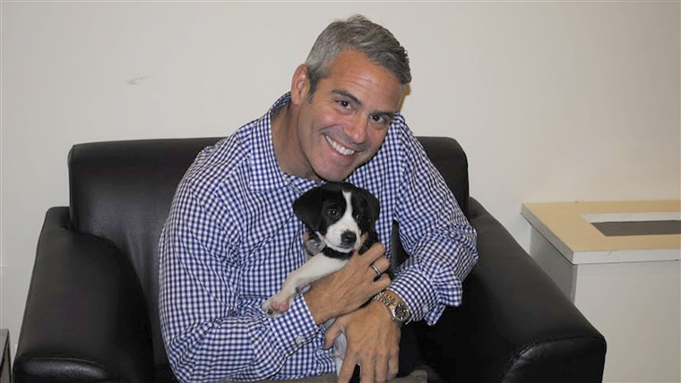 アンディ Cohen with shelter dog Brody