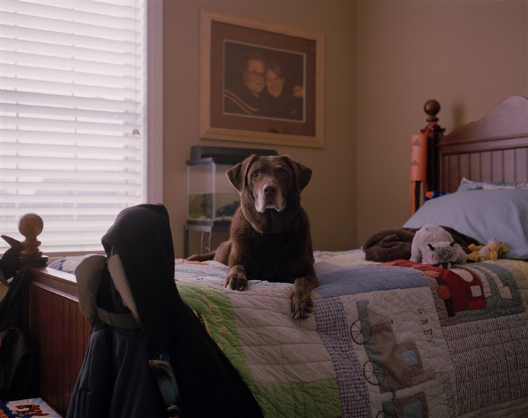 タフ、 a Ground Zero search dog, lived to be 14.