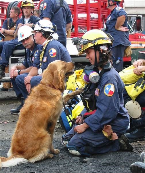 데니스 Corliss and search dog Bretagne at Ground Zero in New York City in September 2001.