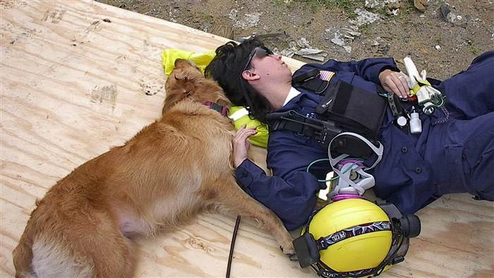 ブルターニュ and Denise Corliss take a quick nap amid the rubble of the World Trade Center in 2001.