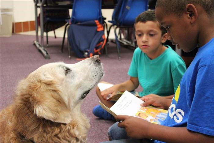 ブルターニュ the search dog helps a first-grader to read aloud.