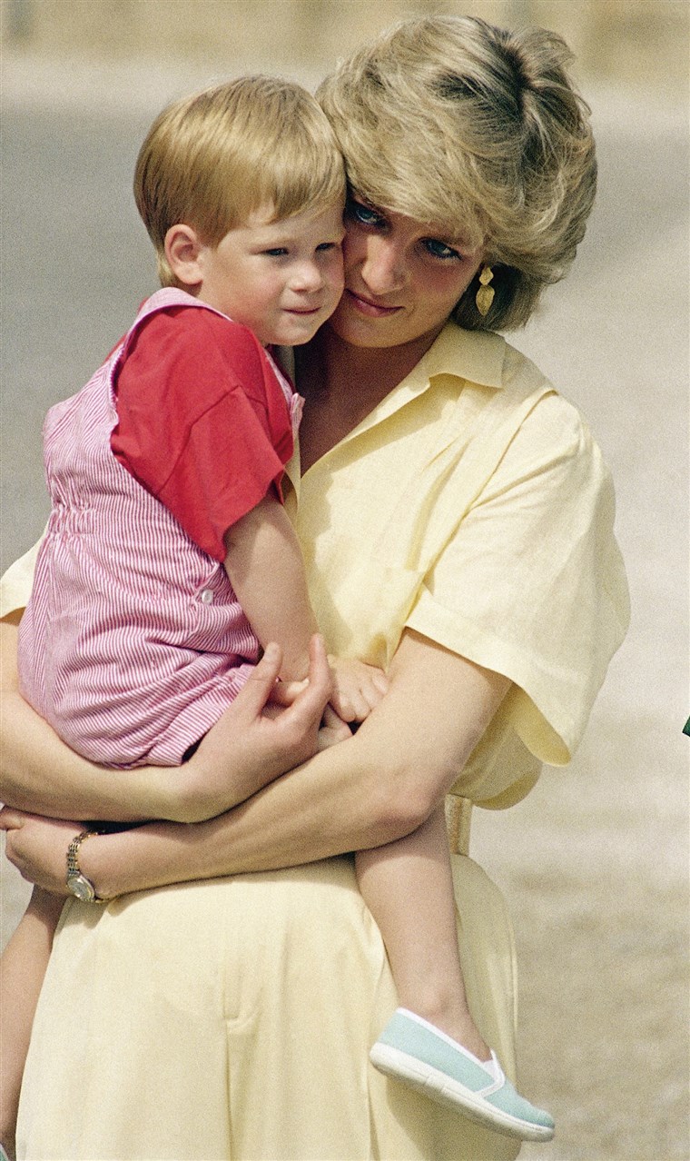 王女 Diana with Prince Harry