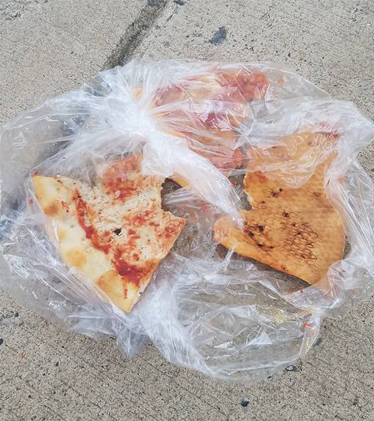 Anak anjing Abandoned with Note and Pizza Rescued by Philadelphia Facebook Group