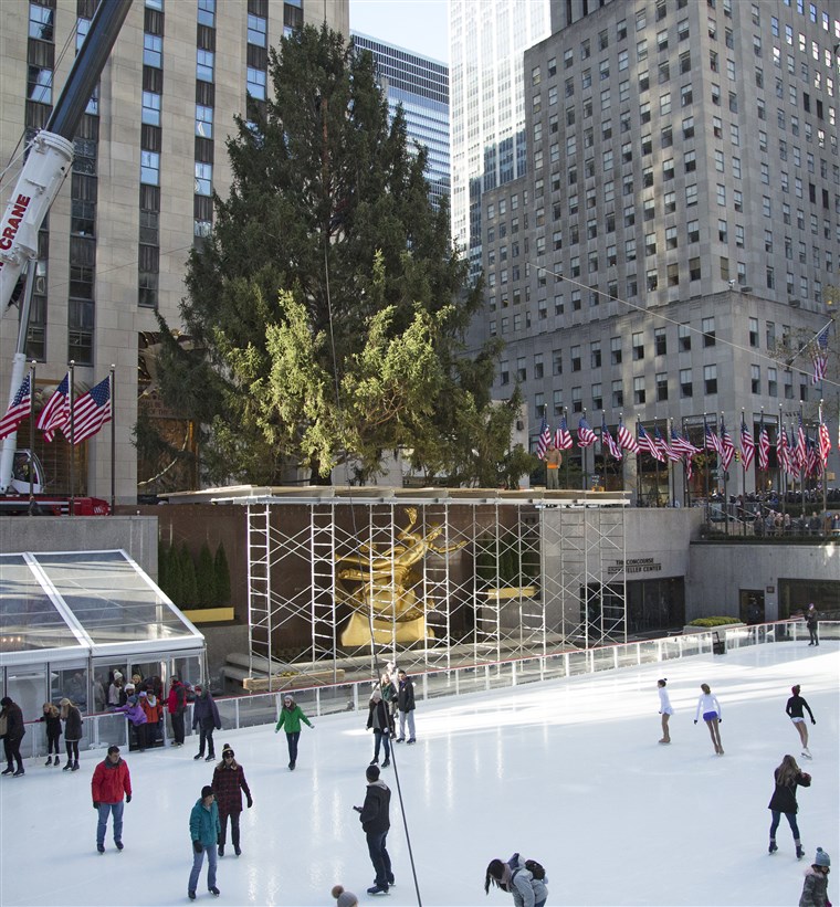 그만큼 Rockefeller Center Christmas tree will be on display until Jan. 7, 2023.