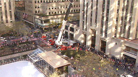 이 year's Rockefeller Center Christmas tree weighs nearly 13 tons!