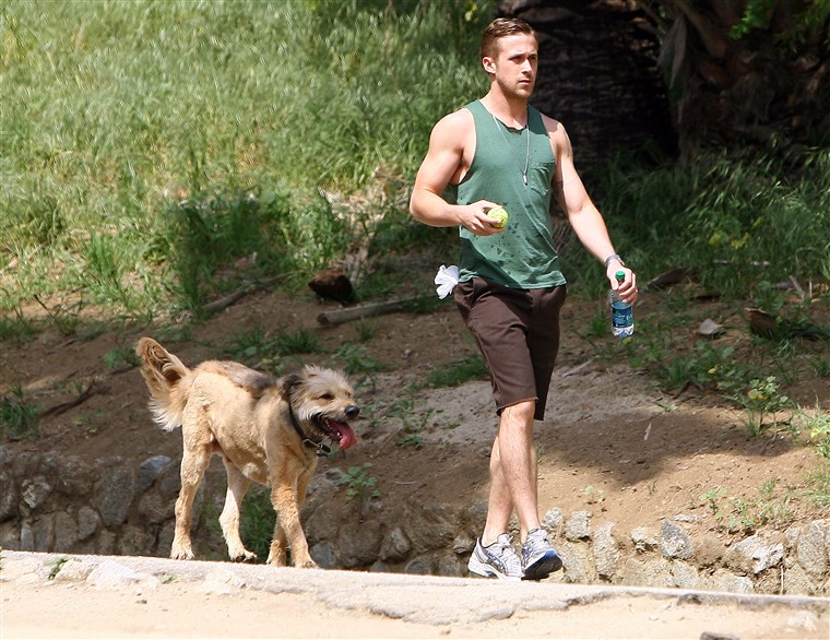 독특한: Ryan Gosling goes hiking with his dog in Los Angeles