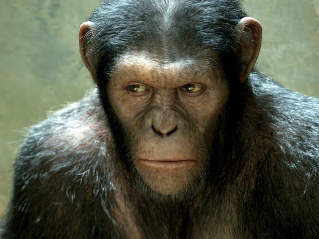 영상: Rise of the Planet of the Apes