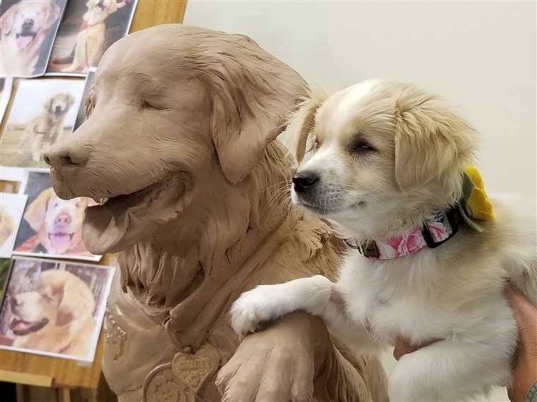 スマイリー the blind therapy dog's beautiful legacy is living on.