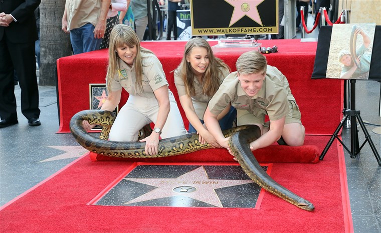 Immagine: Steve Irwin Honored Posthumously With Star On The Hollywood Walk Of Fame