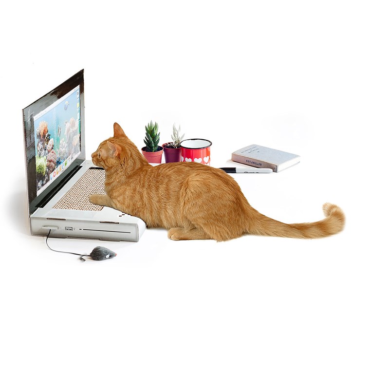 Il computer portatile Cat Scratching Pad