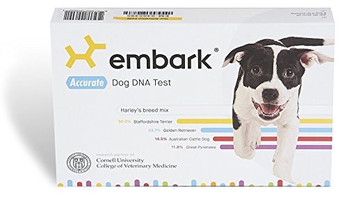 태우다 Veterinary Dog DNA Test